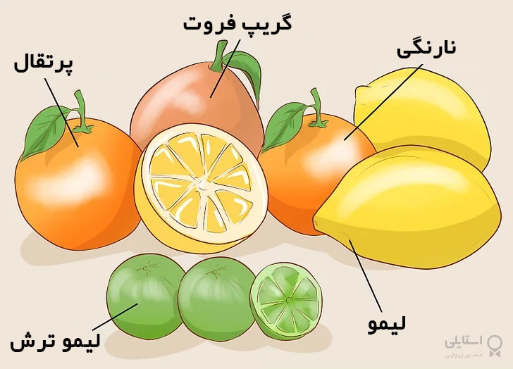 لیمو - لیمو ترش- نارنگی- گریپ فروت - پرتقال