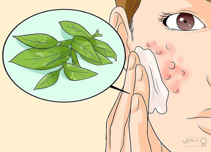 روغن پونه کوهی