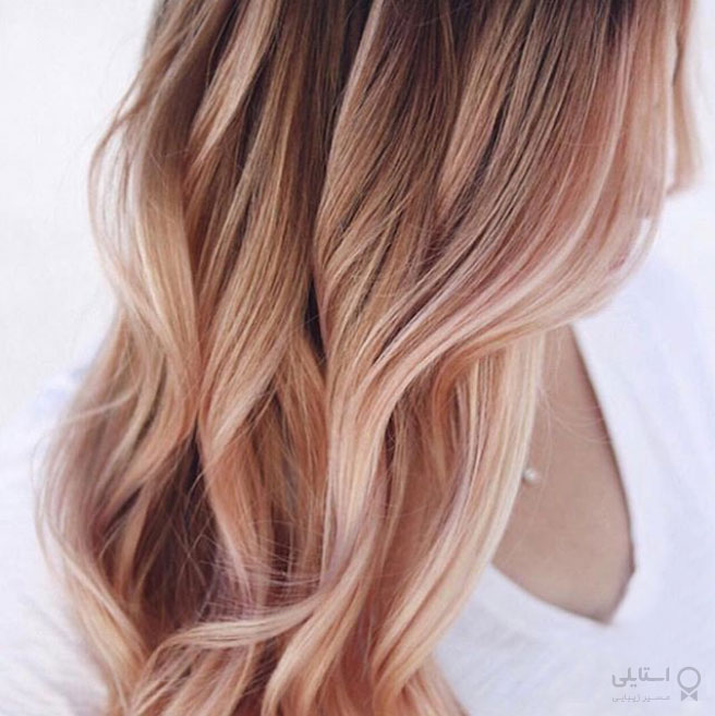 هایلایت رز طلایی