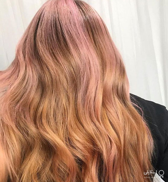 ریشه مو رزگلد