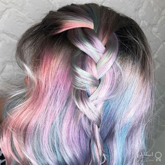 موی اسب تک شاخ