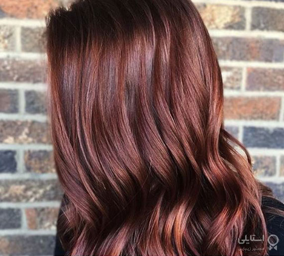 بلوطی واقعی