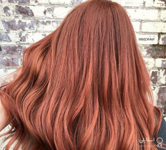 بلوطی توت فرنگی