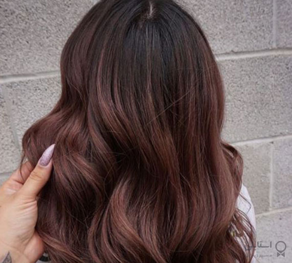 بلوطی شکلاتی