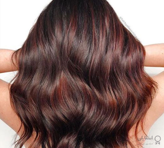 هایلایت بلوطی