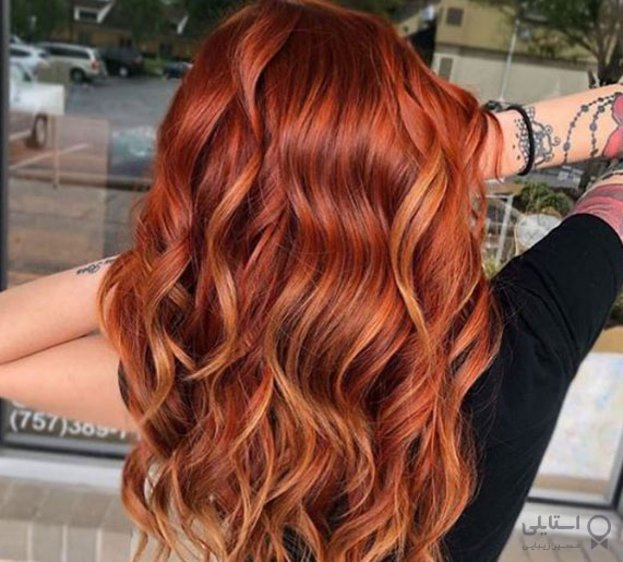 بلوطی آتشین