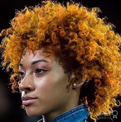 گل همیشه بهار