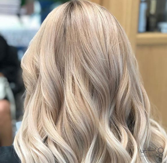 بلوند شامپاینی