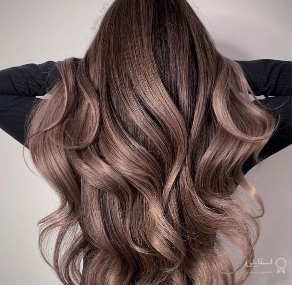 قهوه‌ای قارچی