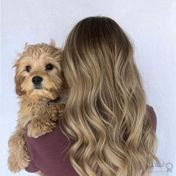 بلوند کاهی با لولایت رشته‌ای